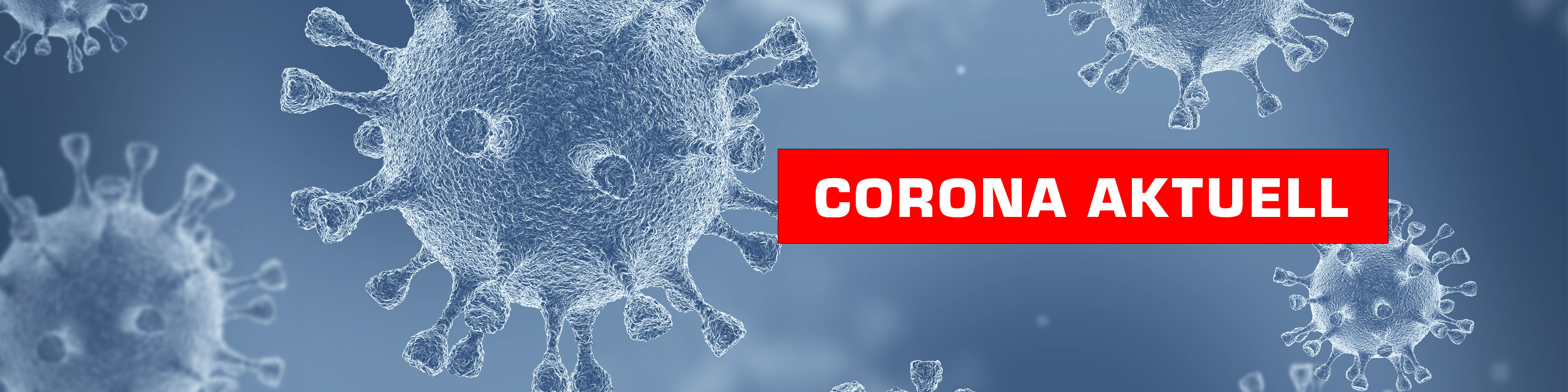 Read more about the article Corona Update